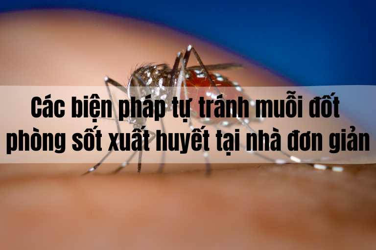 Các biện pháp tự tránh muỗi đốt phòng sốt xuất huyết tại nhà đơn giản